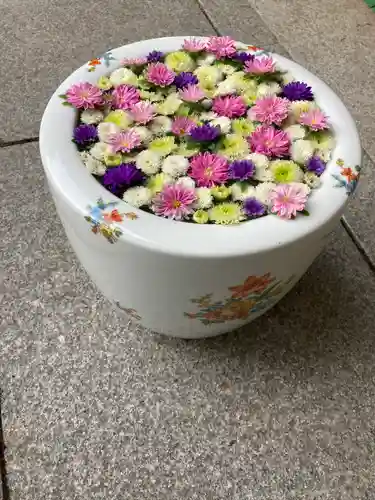 帯廣神社の手水舎