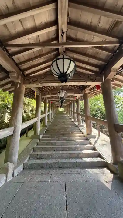 長谷寺の{uncategorized: "未分類", other: "その他", undefined: "問題あり", building: "その他建物", grave: "お墓", sacred_gate: "鳥居", guardian: "狛犬", statue: "像", buddha: "仏像", history: "歴史", nature: "自然", garden: "庭園", animal: "動物", pagoda: "塔", temizu: "手水舎", mountain_gate: "山門・神門", sanctuary: "本殿・本堂", subordinate: "末社・摂社", art: "芸術", scenery: "景色", jizo: "地蔵", ema: "絵馬", goshuin: "御朱印", omikuji: "おみくじ", items: "授与品その他", amulet: "お守り", goshuincho: "御朱印帳", eats: "食事", festival: "お祭り", votive_dance: "神楽", shichigosan: "七五三参", wedding: "結婚式", experience: "体験その他", initially: "初詣", around: "周辺", anti_infection: "感染症対策"}