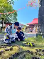 伊達神社(北海道)