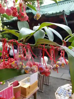 赤坂氷川神社(東京都)