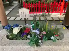 新田神社の手水