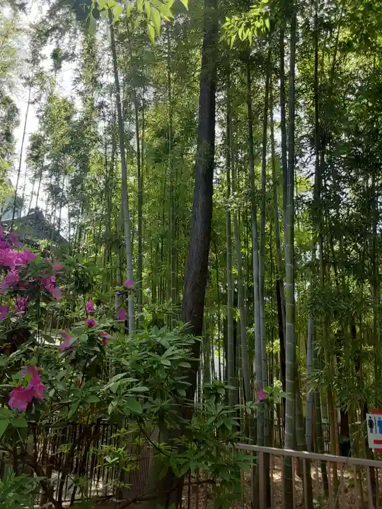 鳩森八幡神社(東京都)