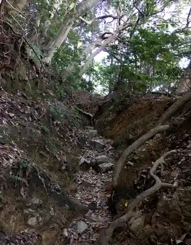 足立山妙見宮（御祖神社）の自然