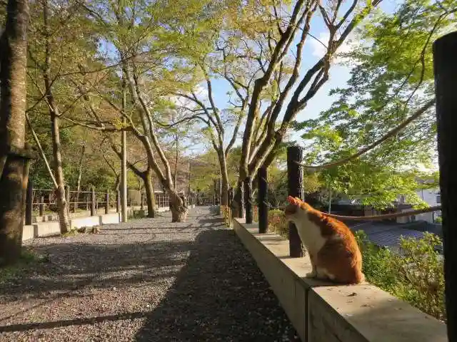 熊野若王子神社(京都府)