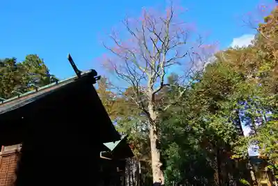 青柳神社の本殿・本堂