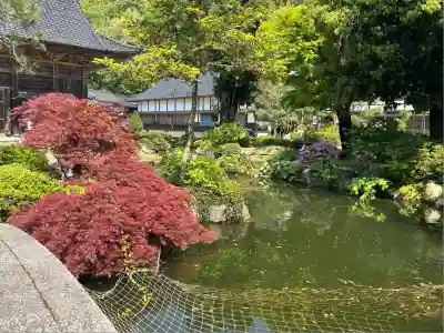 國泰寺(富山県)