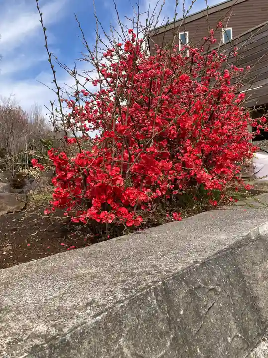 常泉寺(神奈川県)
