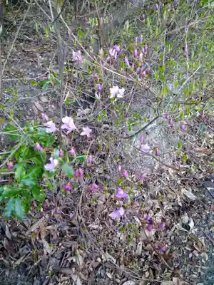 足高神社の自然