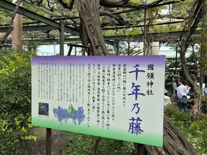 國領神社の{uncategorized: "未分類", other: "その他", undefined: "問題あり", building: "その他建物", grave: "お墓", sacred_gate: "鳥居", guardian: "狛犬", statue: "像", buddha: "仏像", history: "歴史", nature: "自然", garden: "庭園", animal: "動物", pagoda: "塔", temizu: "手水舎", mountain_gate: "山門・神門", sanctuary: "本殿・本堂", subordinate: "末社・摂社", art: "芸術", scenery: "景色", jizo: "地蔵", ema: "絵馬", goshuin: "御朱印", omikuji: "おみくじ", items: "授与品その他", amulet: "お守り", goshuincho: "御朱印帳", eats: "食事", festival: "お祭り", votive_dance: "神楽", shichigosan: "七五三参", wedding: "結婚式", experience: "体験その他", initially: "初詣", around: "周辺", anti_infection: "感染症対策"}