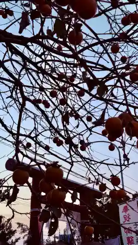 七重浜海津見神社(北海道)