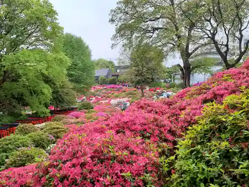 根津神社の景色