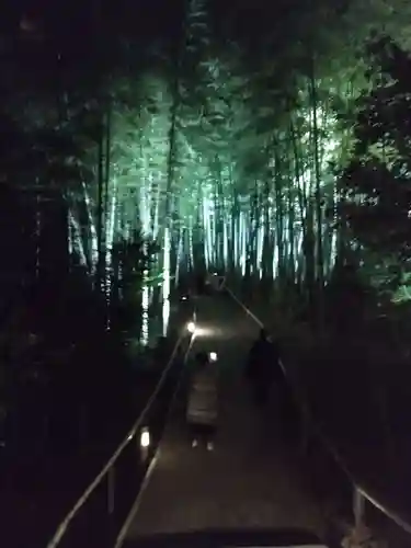 高台寺（高台寿聖禅寺・高臺寺）の周辺