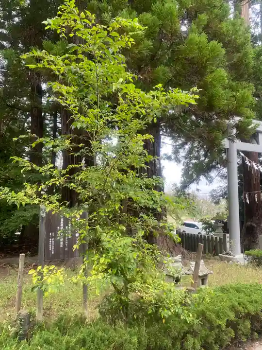 相馬中村神社(福島県)