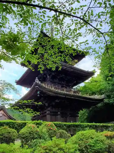 園城寺（三井寺）の建物その他