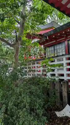 西長洲八幡神社(兵庫県)