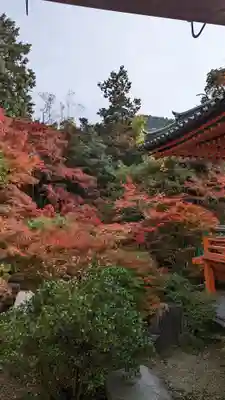 毘沙門堂門跡の自然