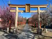 朝日森天満宮の鳥居