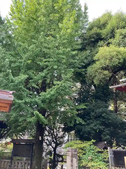 金王八幡宮(東京都)