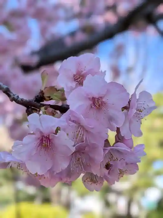 鳩森八幡神社(東京都)
