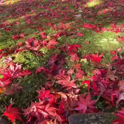 西明寺(滋賀県)