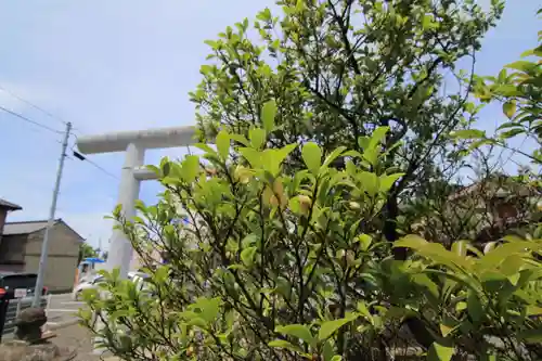 阿邪訶根神社の庭園