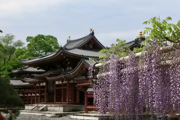 平等院の{uncategorized: "未分類", other: "その他", undefined: "問題あり", building: "その他建物", grave: "お墓", sacred_gate: "鳥居", guardian: "狛犬", statue: "像", buddha: "仏像", history: "歴史", nature: "自然", garden: "庭園", animal: "動物", pagoda: "塔", temizu: "手水舎", mountain_gate: "山門・神門", sanctuary: "本殿・本堂", subordinate: "末社・摂社", art: "芸術", scenery: "景色", jizo: "地蔵", ema: "絵馬", goshuin: "御朱印", omikuji: "おみくじ", items: "授与品その他", amulet: "お守り", goshuincho: "御朱印帳", eats: "食事", festival: "お祭り", votive_dance: "神楽", shichigosan: "七五三参", wedding: "結婚式", experience: "体験その他", initially: "初詣", around: "周辺", anti_infection: "感染症対策"}