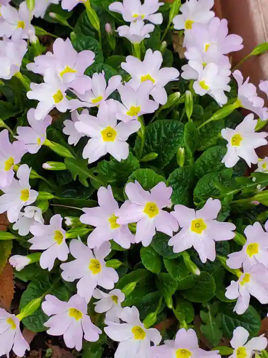阿邪訶根神社(福島県)