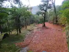 慈照寺（慈照禅寺・銀閣寺）の周辺