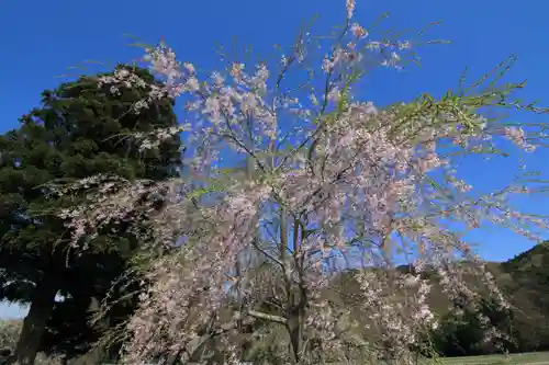 大山祇神社の庭園