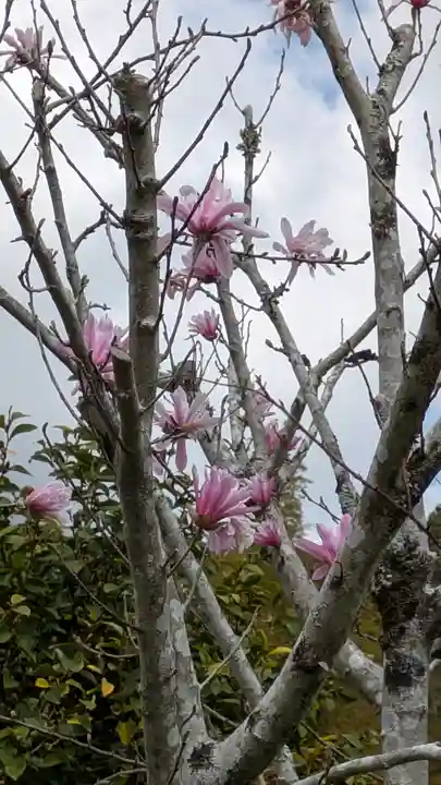 惠心院(京都府)