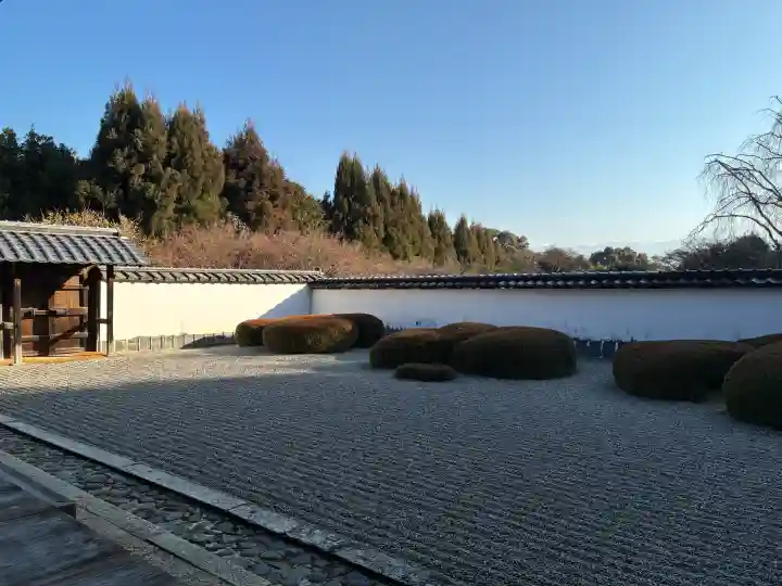 正伝護国禅寺(正伝寺・正傳寺)の{uncategorized: "未分類", other: "その他", undefined: "問題あり", building: "その他建物", grave: "お墓", sacred_gate: "鳥居", guardian: "狛犬", statue: "像", buddha: "仏像", history: "歴史", nature: "自然", garden: "庭園", animal: "動物", pagoda: "塔", temizu: "手水舎", mountain_gate: "山門・神門", sanctuary: "本殿・本堂", subordinate: "末社・摂社", art: "芸術", scenery: "景色", jizo: "地蔵", ema: "絵馬", goshuin: "御朱印", omikuji: "おみくじ", items: "授与品その他", amulet: "お守り", goshuincho: "御朱印帳", eats: "食事", festival: "お祭り", votive_dance: "神楽", shichigosan: "七五三参", wedding: "結婚式", experience: "体験その他", initially: "初詣", around: "周辺", anti_infection: "感染症対策"}