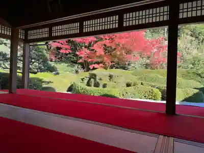 大池寺(滋賀県)