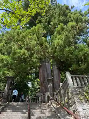 戸隠神社中社(長野県)