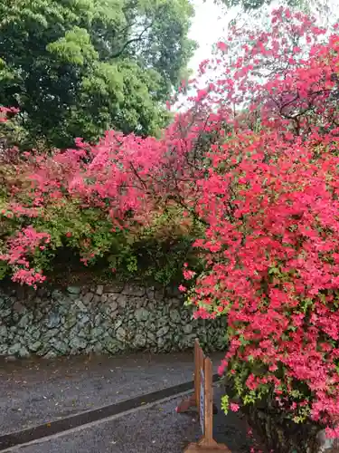 唐澤山神社の自然