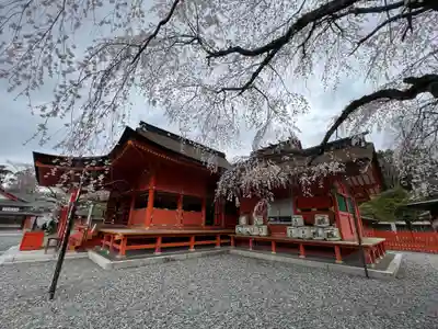 富士山本宮浅間大社の本殿・本堂