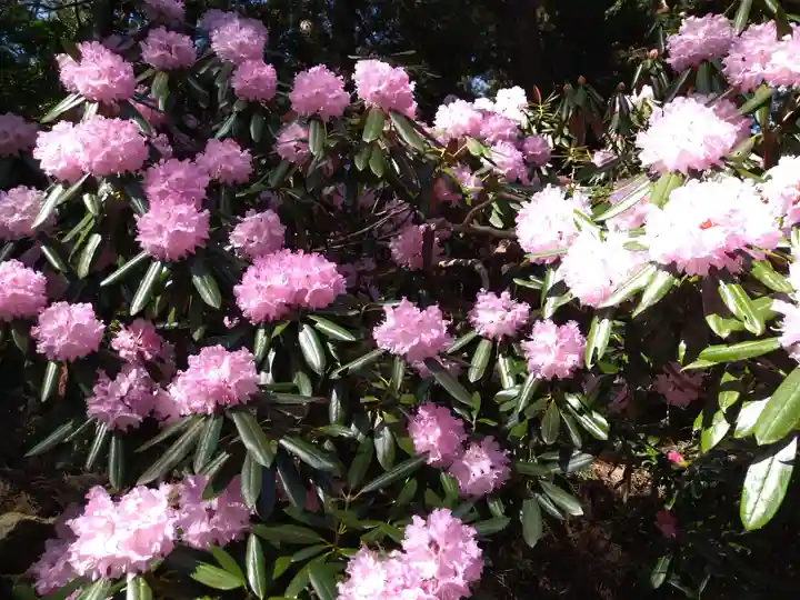 室生寺(奈良県)