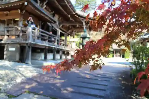 善峯寺の建物その他