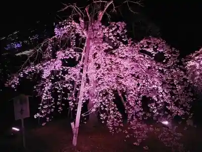 知恩院(京都府)