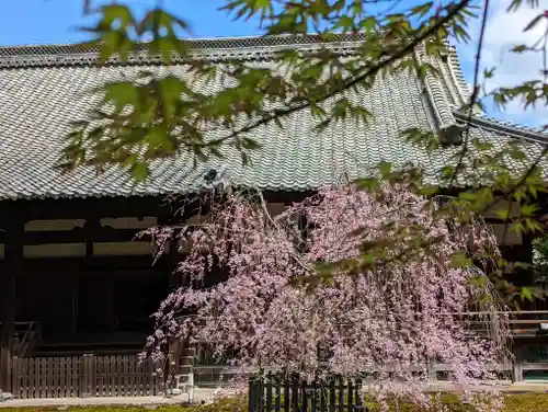 青蓮院門跡(京都府)