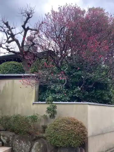 観音蜜寺（薬師院内）(神奈川県)