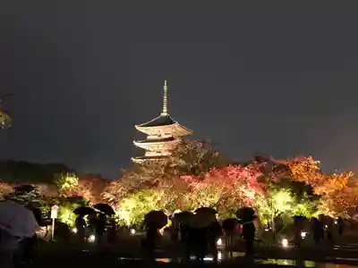 東寺（教王護国寺）(京都府)