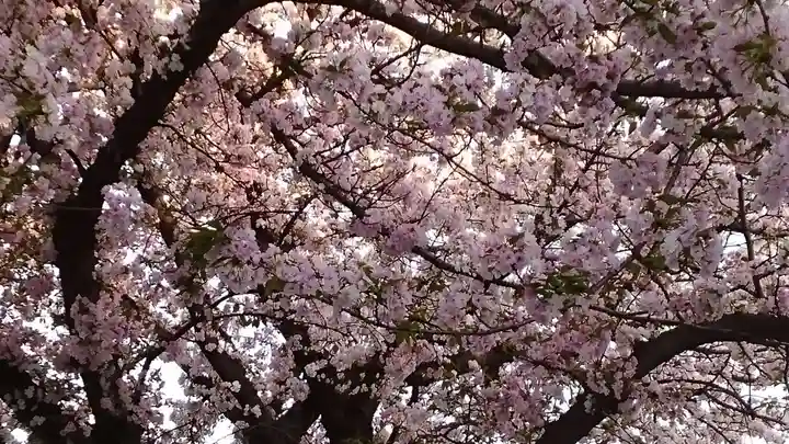 感通寺(東京都)