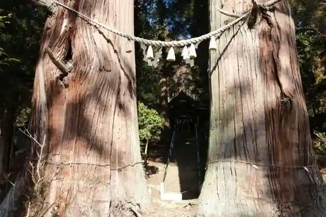 夏井諏訪神社の自然