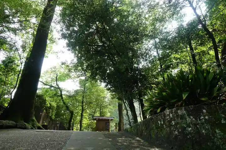 石上神宮の自然