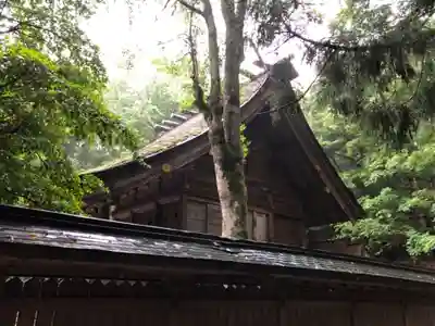 若狭彦神社（上社）の本殿・本堂