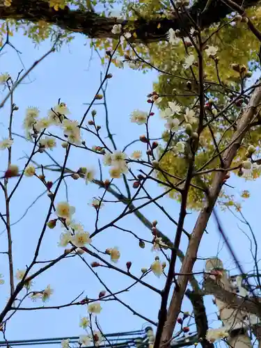 七宮神社(兵庫県)