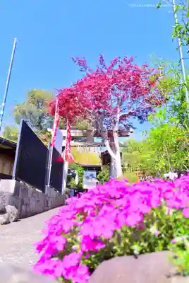横浜御嶽神社(神奈川県)