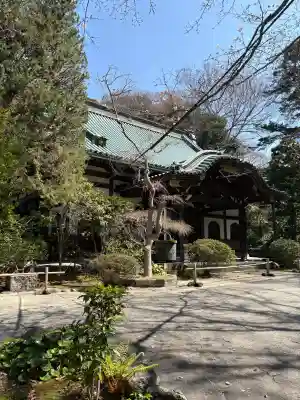 妙本寺の{uncategorized: "未分類", other: "その他", undefined: "問題あり", building: "その他建物", grave: "お墓", sacred_gate: "鳥居", guardian: "狛犬", statue: "像", buddha: "仏像", history: "歴史", nature: "自然", garden: "庭園", animal: "動物", pagoda: "塔", temizu: "手水舎", mountain_gate: "山門・神門", sanctuary: "本殿・本堂", subordinate: "末社・摂社", art: "芸術", scenery: "景色", jizo: "地蔵", ema: "絵馬", goshuin: "御朱印", omikuji: "おみくじ", items: "授与品その他", amulet: "お守り", goshuincho: "御朱印帳", eats: "食事", festival: "お祭り", votive_dance: "神楽", shichigosan: "七五三参", wedding: "結婚式", experience: "体験その他", initially: "初詣", around: "周辺", anti_infection: "感染症対策"}