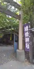 橋姫神社の鳥居