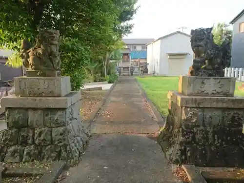 吉野神社の狛犬